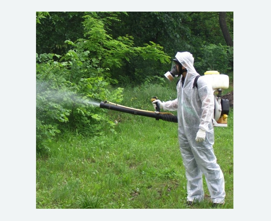 обработка территории от клещей в Хасавюрте