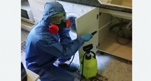 Уничтожение муравьев в квартире. Хасавюрт