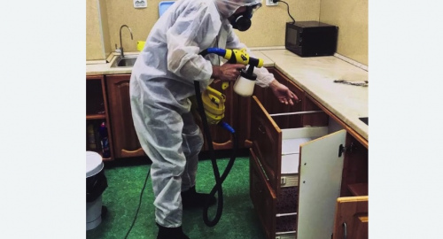 Уничтожение насекомых в квартире. Хасавюрт
