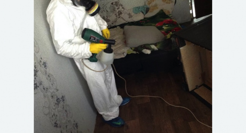 Обработка квартир от насекомых в Хасавюрте