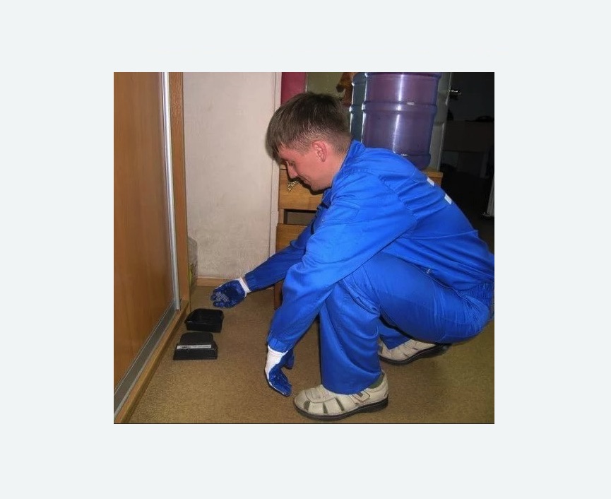 Дератизация крыс в Хасавюрте