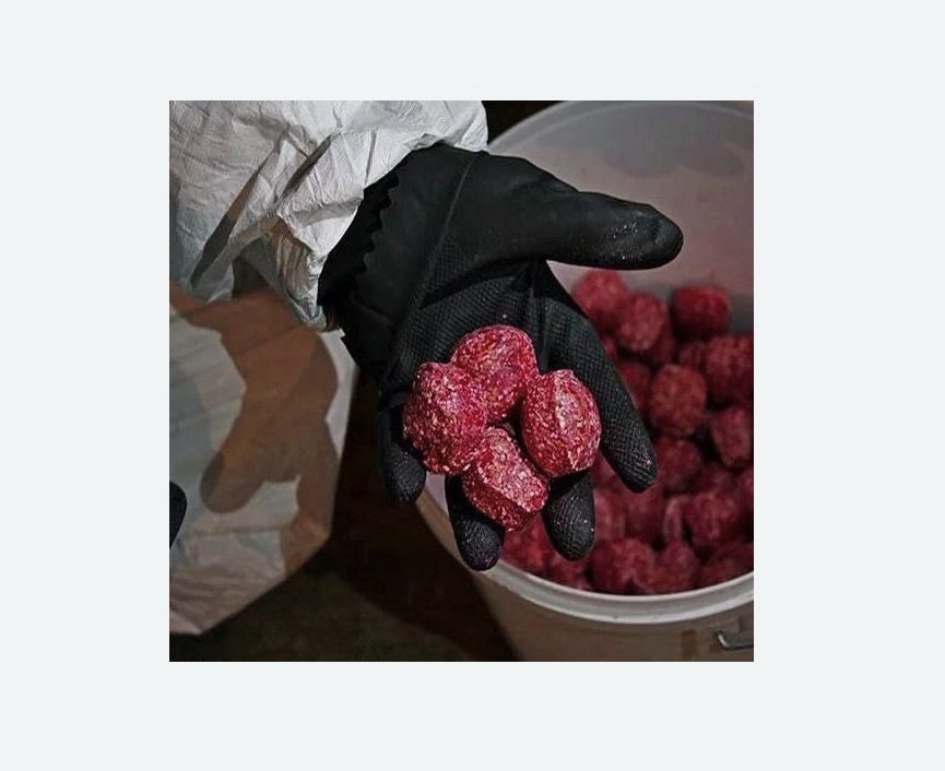 Обработка от крыс в Хасавюрте