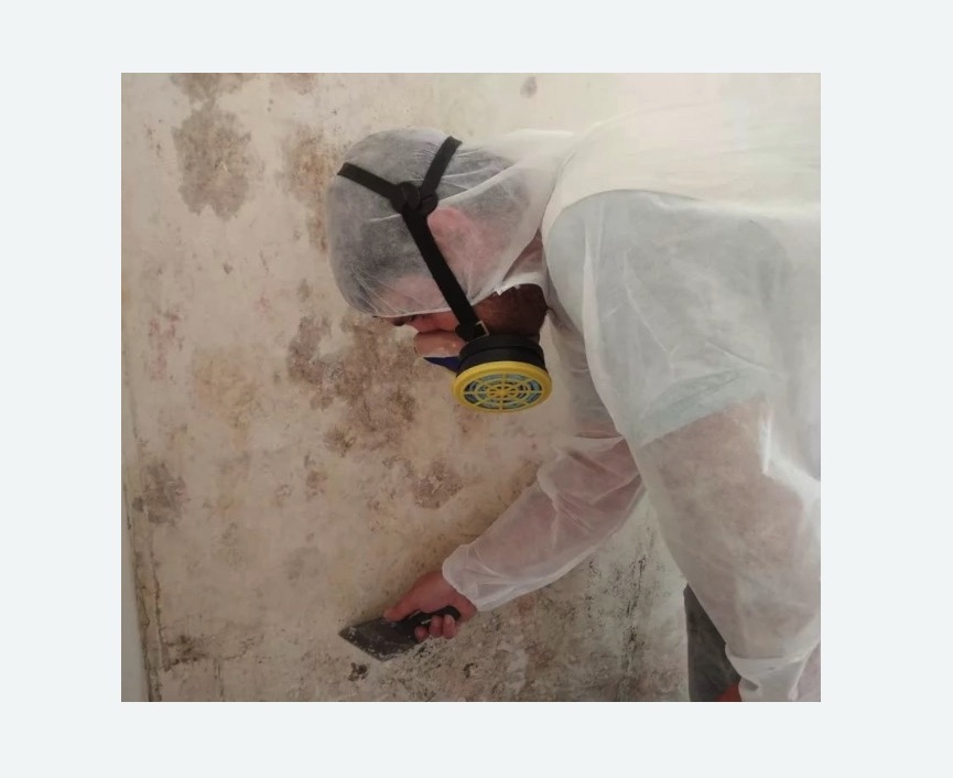 Обработка стен от плесени Обработка стен от плесени в Хасавюрте