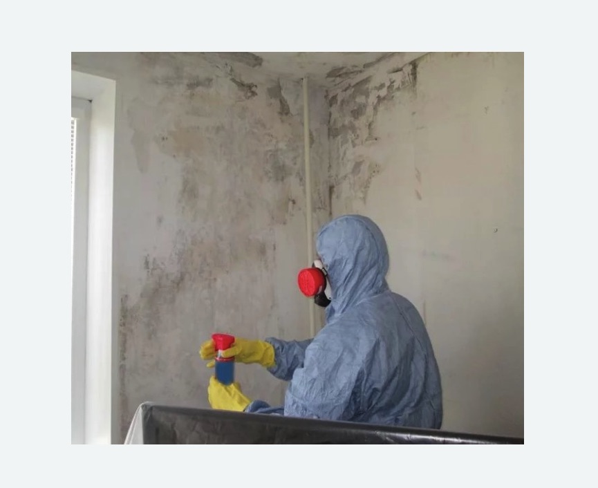 Удаление плесени в квартире Удаление плесени в квартире в Хасавюрте