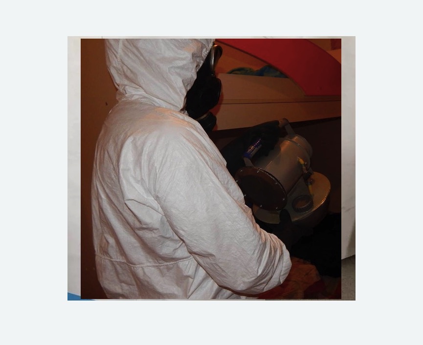 Дезинфекция от муравьев в Хасавюрте