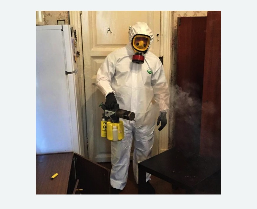 уничтожение муравьев в квартире в Хасавюрте